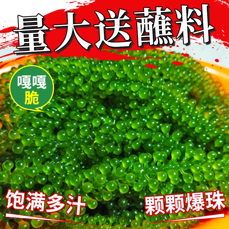新鲜海葡萄即食海带绿色零食鱼子酱长寿菜海菜海白菜100g