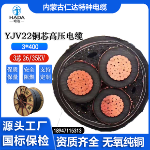 常规pvc 电缆 线缆 内蒙古工厂直销 YJV22 非屏蔽 400 仁达