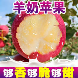 【清晨采摘】正宗山西万荣羊奶苹果当季新鲜红富士孕妇水果一整箱