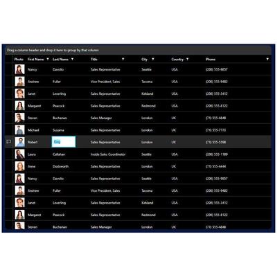 Telerik UI for WPF 2024 Q2 Cra
