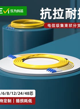 乐为科芯多模光纤跳线