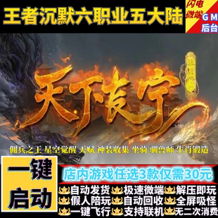 传奇单机版天下长宁之王者沉默6职业5大陆佣兵假人GM后台微端联机