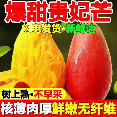 海南高山贵妃芒果新鲜采摘3/5斤装现摘现发