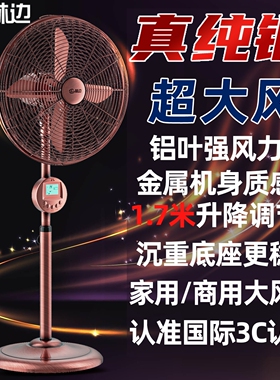 落地电风扇金属防锈升降18寸大风复古节能落地电扇力工业家用静音
