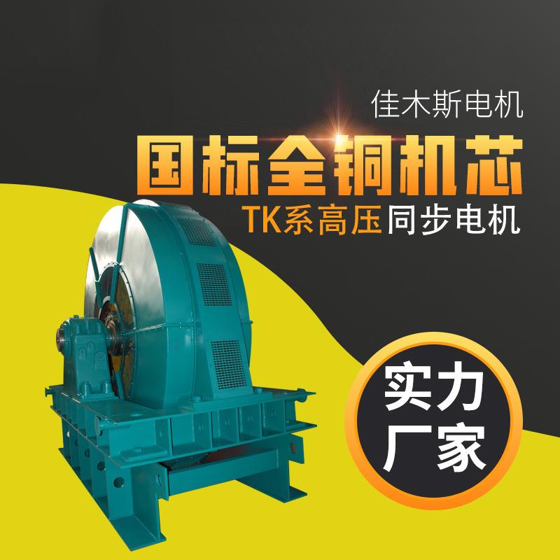佳木斯电机马达TK-355L3-4/355kw高压电动机同步 TK-355L2-4