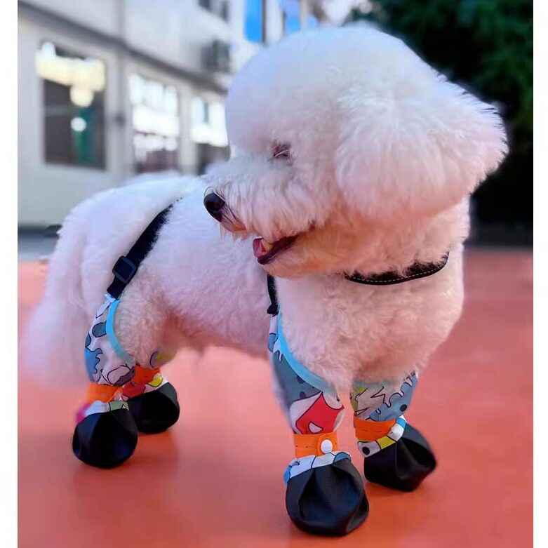 宠物狗狗外出水鞋小中大
