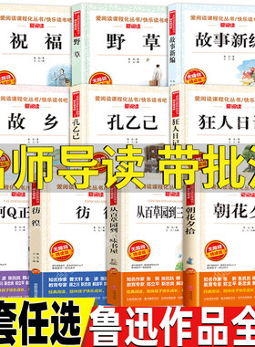 鲁迅作品全集名师导读带批注