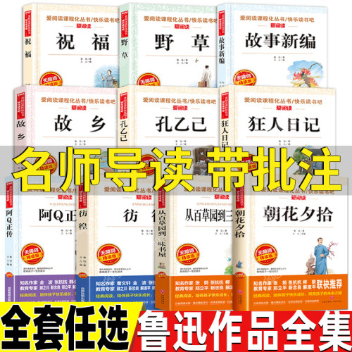 鲁迅作品全集名师导读带批注