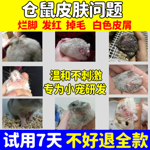 仓鼠皮肤神仙水病药仓鼠治仓鼠疗真菌除臭感染驱虫喷雾剂常用品药