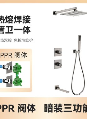 德国PPR热熔暗装隐藏预埋枪灰黑色F卫生间浴室极简嵌入墙淋浴花洒
