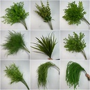 绿色造景花芦荀草龙须草结婚订婚仿真花婚礼背景插花商场美陈装 饰