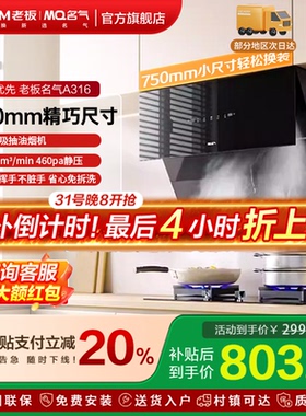 名气小尺寸吸抽油烟机家用厨房A316/A3007以旧换新补贴老板出品