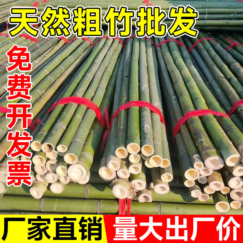 小竹竿蔬菜爬藤竹杆架种菜园搭架豆角黄瓜架篱笆栅栏彩旗杆细竹子