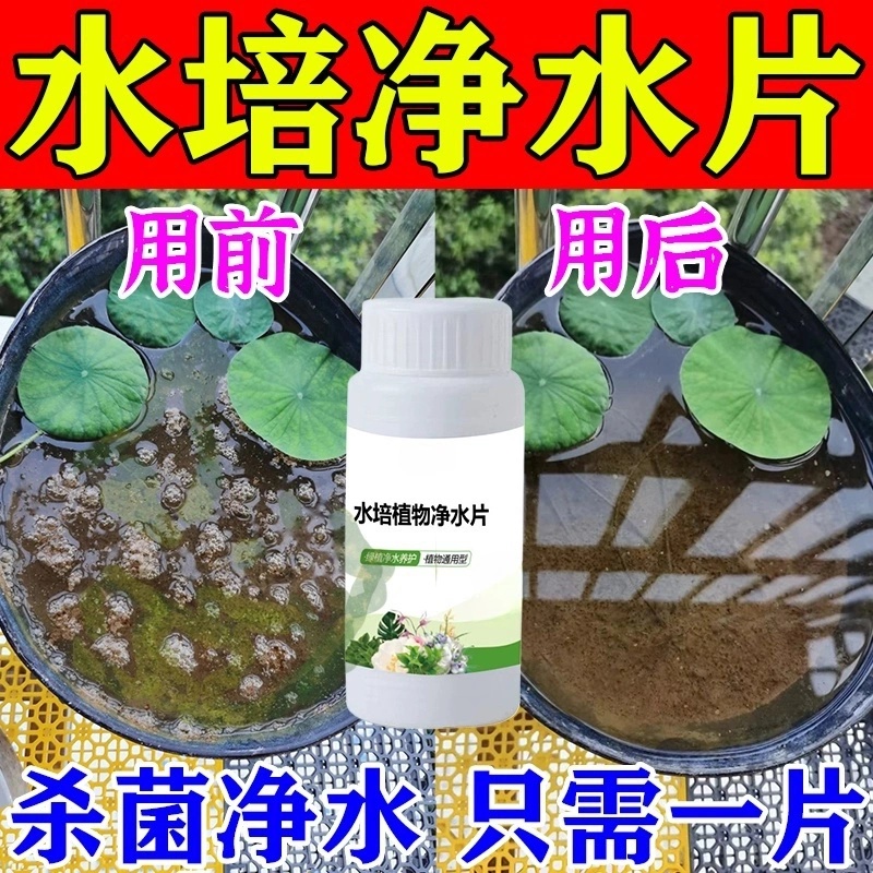 水培植物净水片除臭杀菌消毒富贵竹碗睡莲专用净化水质鲜花保鲜片