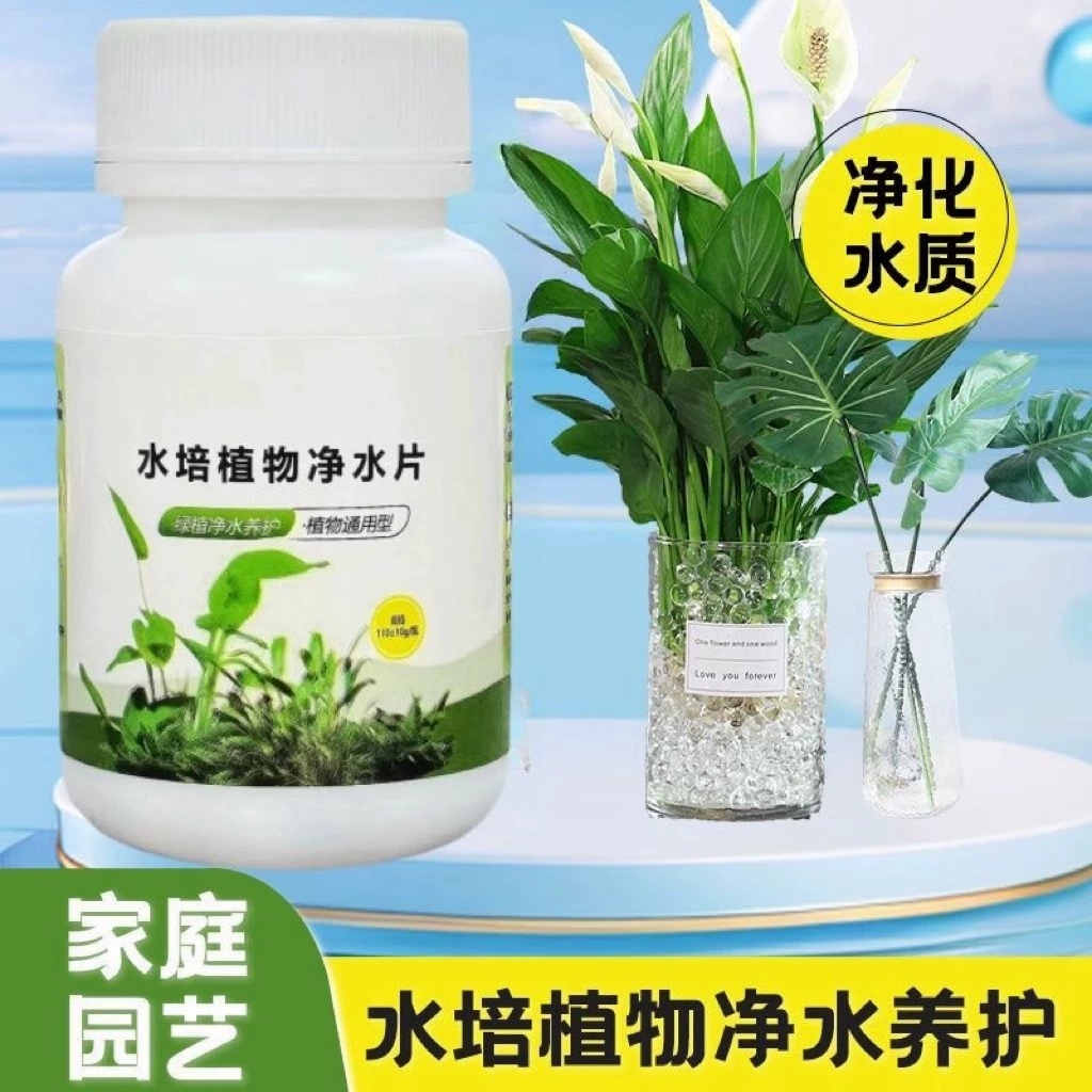 水培植物净水片除臭杀菌消毒鲜花花卉保鲜剂碗莲除藻专用净化水质