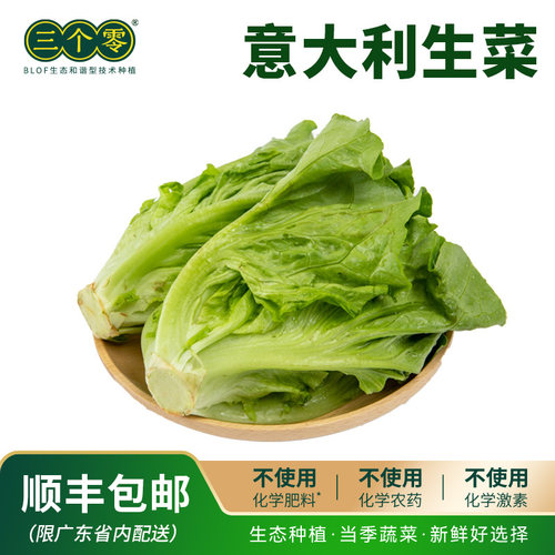 【百果园】三个零意大利生菜3斤 生态种植清甜爽口 顺丰包邮