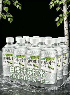 白桦树汁苏打水300ml一箱装
