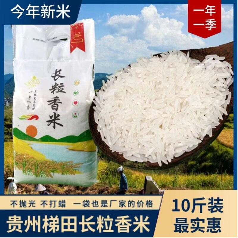 2024新米贵州梯田长粒香米官方旗舰店10斤装农家大米不抛光不打蜡