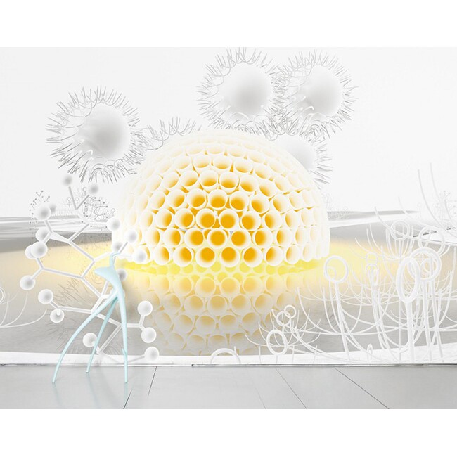 法国Moustache D fuse landscape two 神秘景象蛋卷墙纸壁纸进口