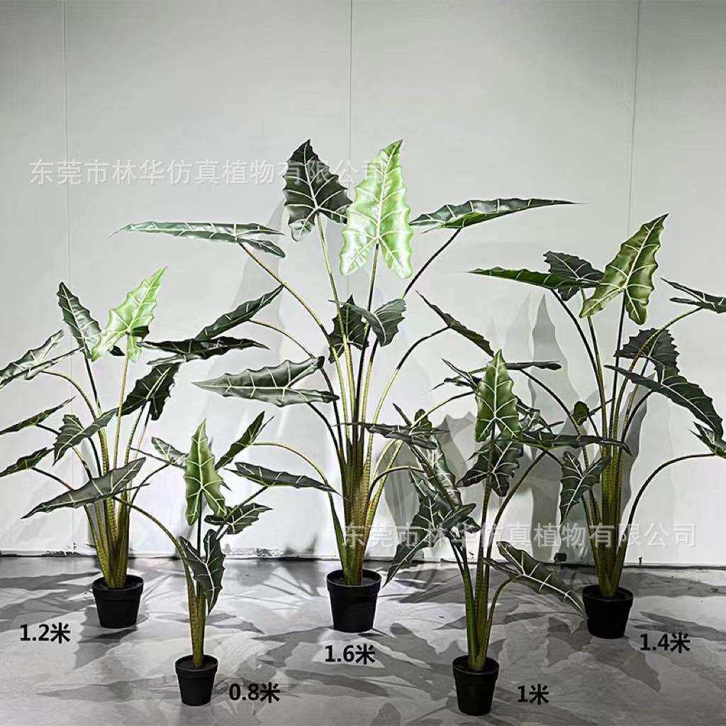 仿真萨利安海芋彩芋芋叶盆景热带植物仿真海芋室内装饰绿植盆栽