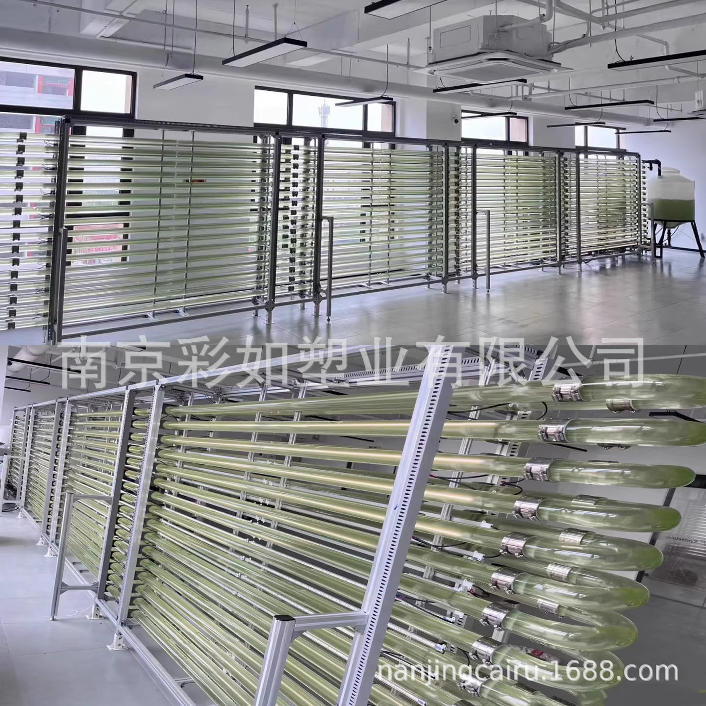 管道式光生物反应器1000L跑道池