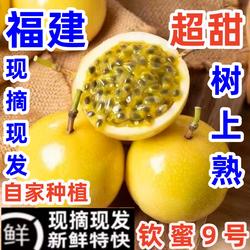 黄金百香果正宗钦蜜9号福建新鲜当季现摘西潘莲纯甜孕妇水果5斤装