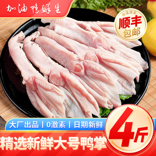 精选大号鸭掌生鲜冷冻鸭爪