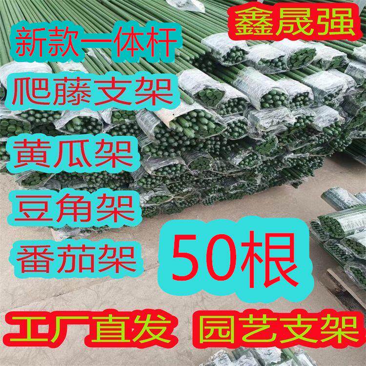 爬藤支架蔬菜支撑包塑钢管