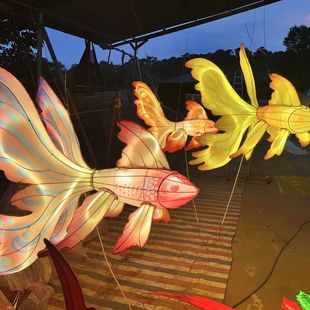 鲤鱼金鱼灯笼花灯鱼形吊饰饭店火锅城商场公园餐厅湘菜馆城隍庙群