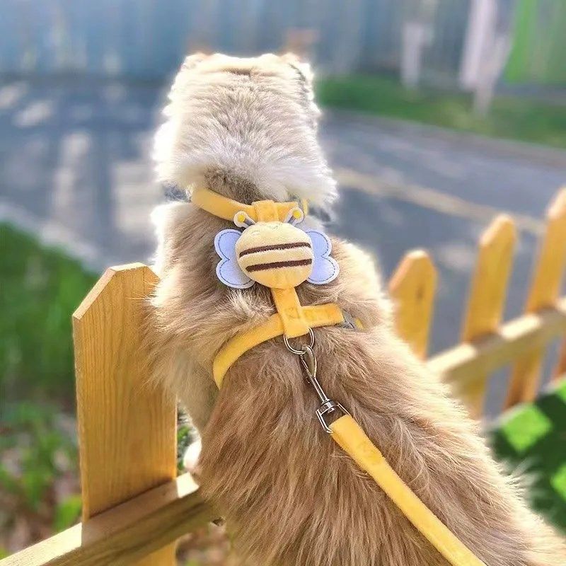 牵引绳猫咪外出专用防走丢溜猫遛狗小型狗狗小猫比熊犬工字可调节,宠物/宠物食品及用品,猫牵引绳,淘宝优惠券,粉丝福利购,淘宝优惠卷