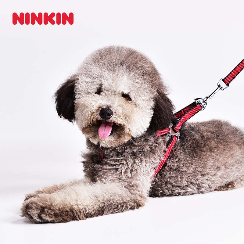 狗狗牵引绳宠物拉带贵宾比熊雪纳瑞法斗柯基犬金毛胸背外出遛狗绳