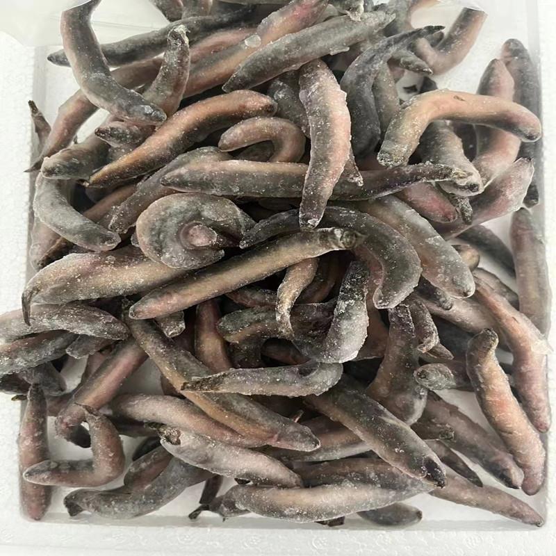 包邮冷冻泥鳅单冻虾仁河虾麦穗鱼食新鲜观赏鱼龙鱼虎鱼魟鱼龟饲料
