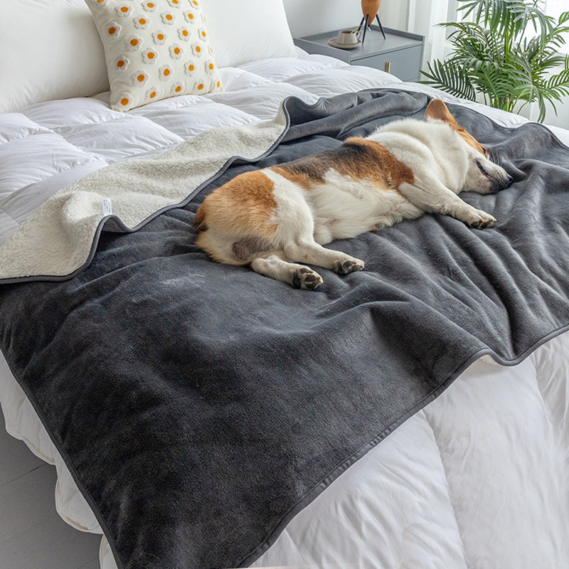 羊羔绒防水宠物毛毯被子春秋猫狗四季法兰绒垫子小型中大型犬狗窝