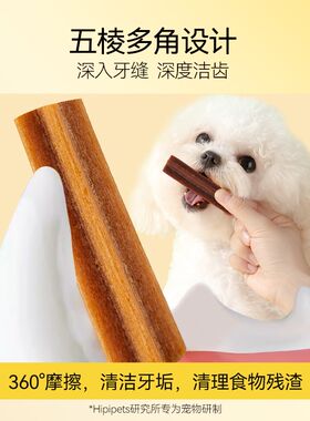 狗狗零食宠物狗狗磨牙棒洁齿耐咬泰迪巴哥比熊小型幼犬补钙洁齿骨