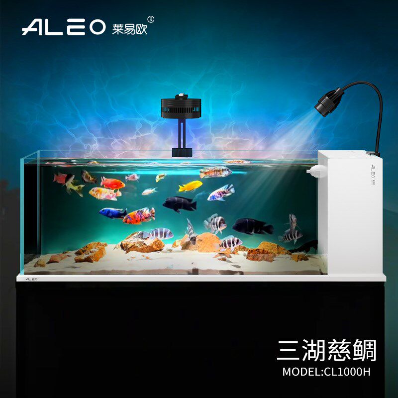 莱易欧2025新款侧滤全套客厅超白玻璃三湖缸南美缸溪流缸生态鱼缸