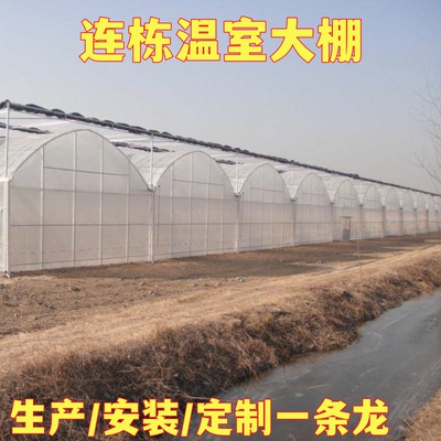 温室大棚骨架连栋连身棚镀锌钢管保温种植鸡鹅牛羊养殖椭圆管棚