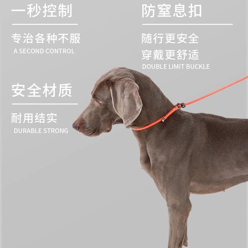 赛级p绳狗绳p链狗狗牵引绳遛狗绳防爆冲遛狗绳中型犬大型犬狗链