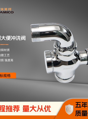 埃美柯大便冲洗阀全铜缓冲自闭式冲洗1寸厕所BD31A冲水阀DN25