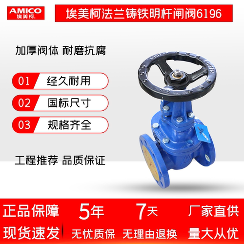 正品埃美柯Z41T-6铸铁法兰