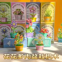 幼儿园礼物学生奖品多肉鲜花积木