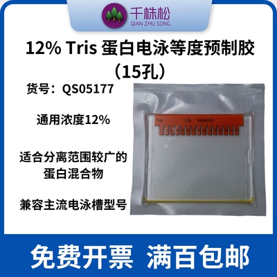 12% Tris 甘氨酸蛋白电泳等度预制胶（15孔）