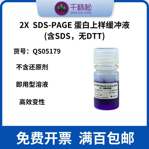 2X 蛋白上样缓冲液变性非还原型Loading Buffer（含SDS不含DTT）