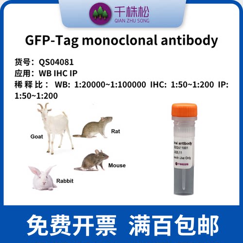 GFP-Tag monoclonal antibody 高浓度 1mg/ml