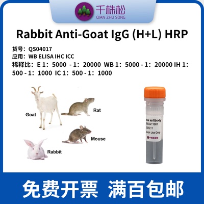 Rabbit Anti-Goat IgG (H+L) HRP 二抗，WB/ELISA/IHC实验 高浓度