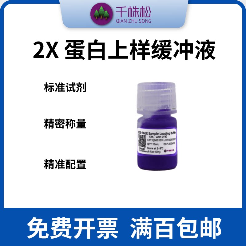 2X 蛋白上样缓冲液变性还原型Loading Buffer（DTT和SDS）图片