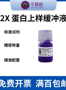 2X 蛋白上样缓冲液变性还原型Loading Buffer（DTT和SDS）