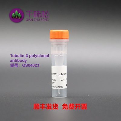 内参抗体， Tubulin β polyclonal antibody，WB/IP/IF
