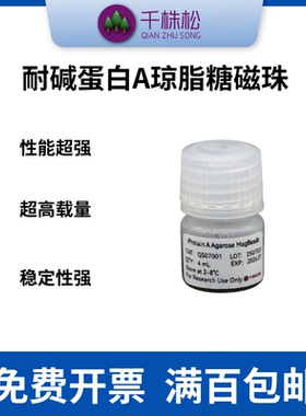 耐碱蛋白A琼脂糖磁珠rProtein A Agarose MagBeads，抗体纯化