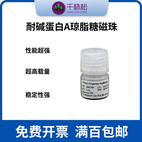 耐碱蛋白A琼脂糖磁珠rProtein A Agarose MagBeads，抗体纯化