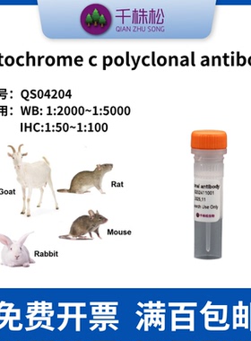 Cytochrome c polyclonal antibody 兔抗 一抗 WB IHC实验